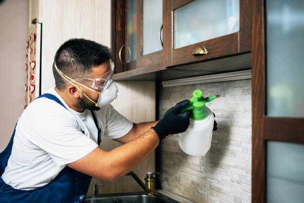 Best Residential Pest Control  in Brockport, NY