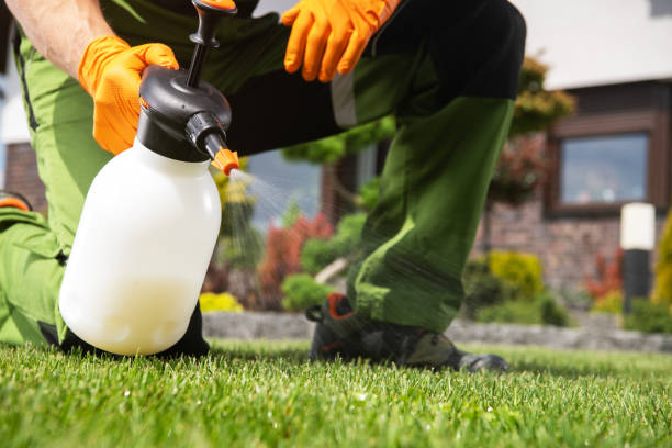 Best Pest Removal Services  in Brockport, NY