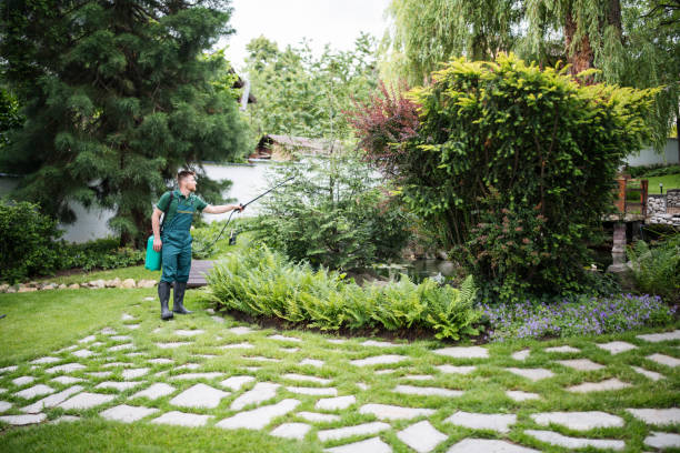 Best Local Pest Control Services  in Brockport, NY