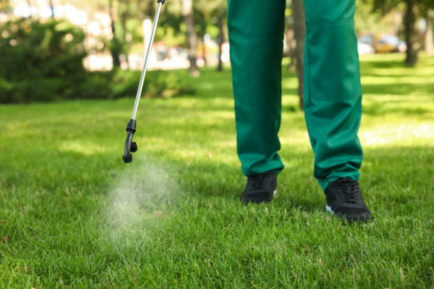 Best Affordable Pest Control Services  in Brockport, NY