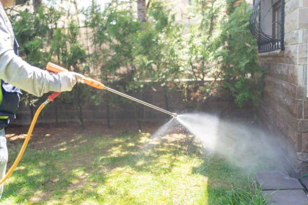Best Residential Pest Control  in Brockport, NY