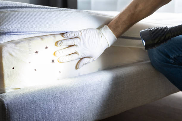 Best Best Pest Control Companies  in Brockport, NY