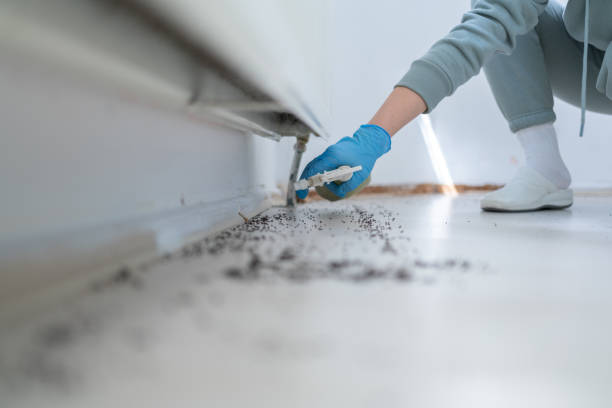 Best Mosquito Control Services  in Brockport, NY