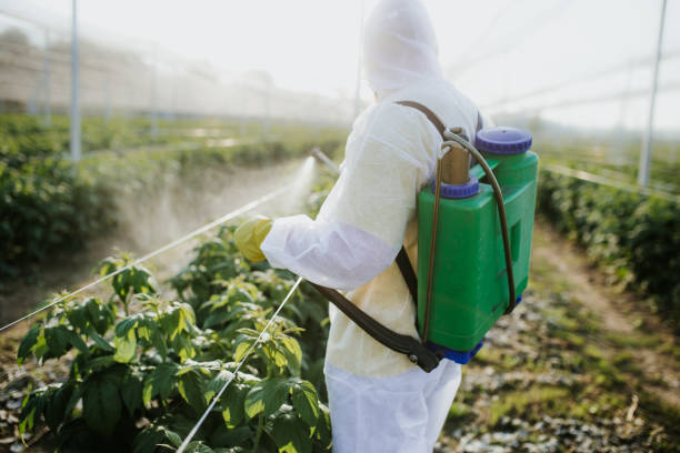 Pest Control Cost in Brockport, NY